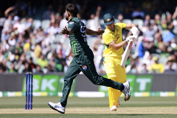Star cricket match discount